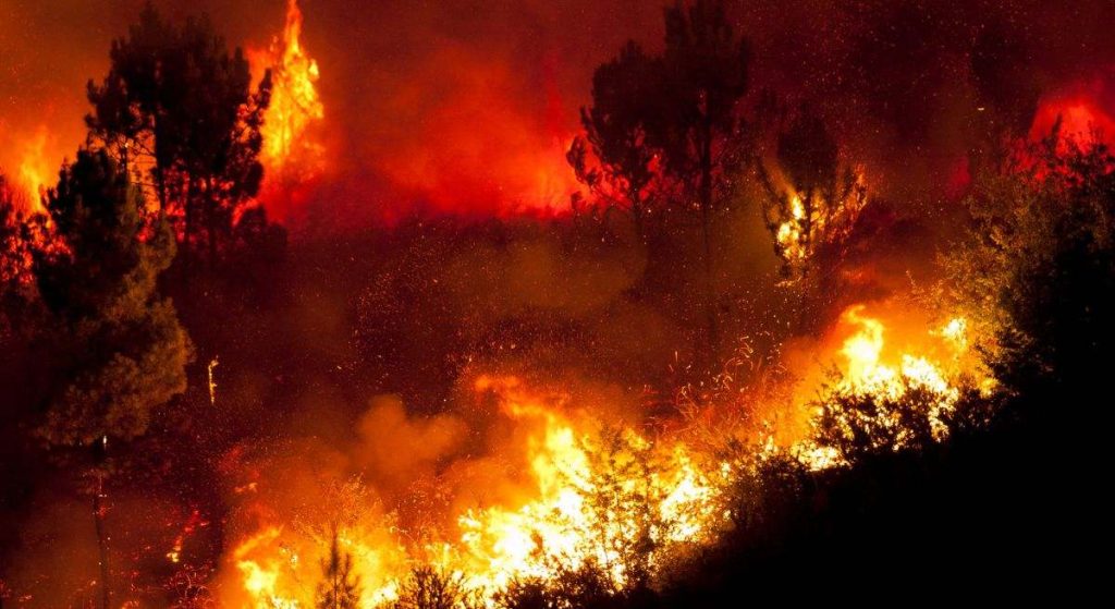 Apagar una hectárea de monte incendiado cuesta 30.000 euros frente a los 3.000 de invertir en prevención