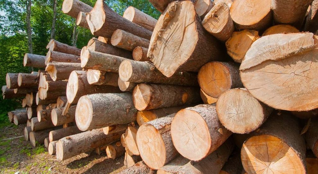 El canario en la mina de la economía de EEUU: el hundimiento del precio de la madera da una mala señal